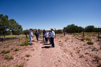 Zuni Indian Ruins, August, 2019